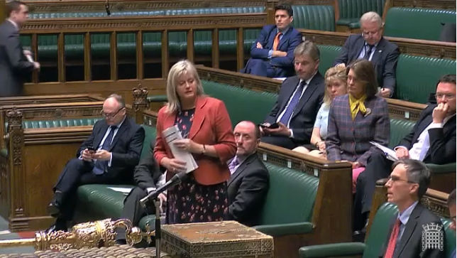 Anne Main MP speaking in the House of Commons, October 2019