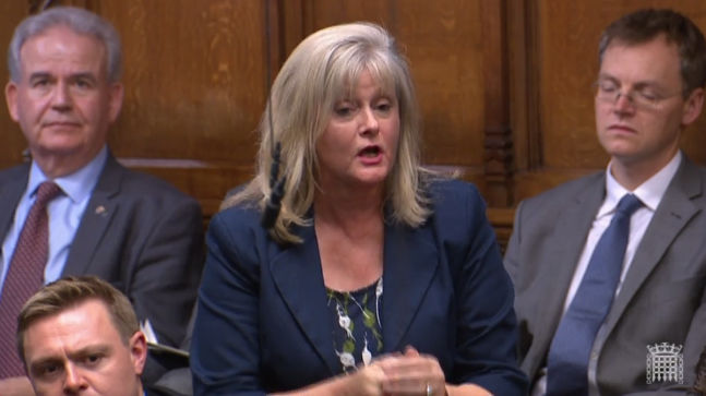 Anne Main MP speaking in the House of Commons, October 2019