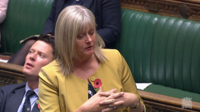 Anne Main MP speaking in the House of Commons