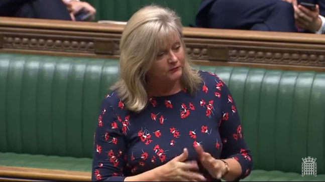 Anne Main MP speaking in the House of Commons, October 2019