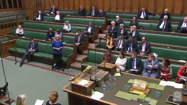 Anne Main MP speaking in the House of Commons, October 2019