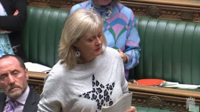 Anne Main MP speaking in the House of Commons, October 2019