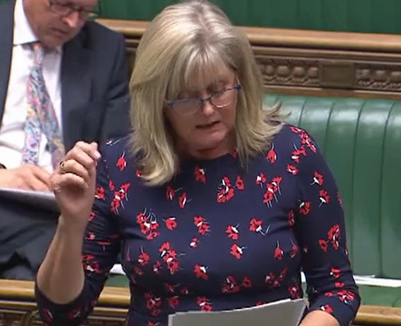 Anne Main MP speaking in the House of Commons, October 2019