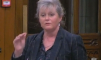Anne Main speaking in Westminster Hall